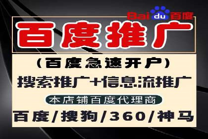 行业领先的SEM竞价广告投放案例